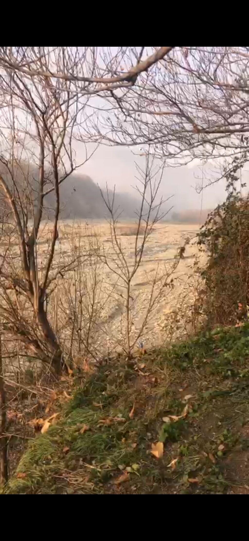 10 sot, Tikinti, Mülkiyyətçi, Kupça (Çıxarış) — Torpaq, Qəbələ (5)