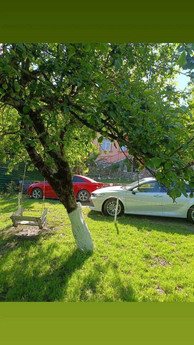 Villa kirayə verilir, Qəbələ ş — Ev, villa, Qəbələ (6)