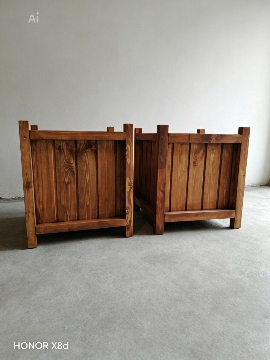 Dibçəklər — Bitkilər, Bakı (5)