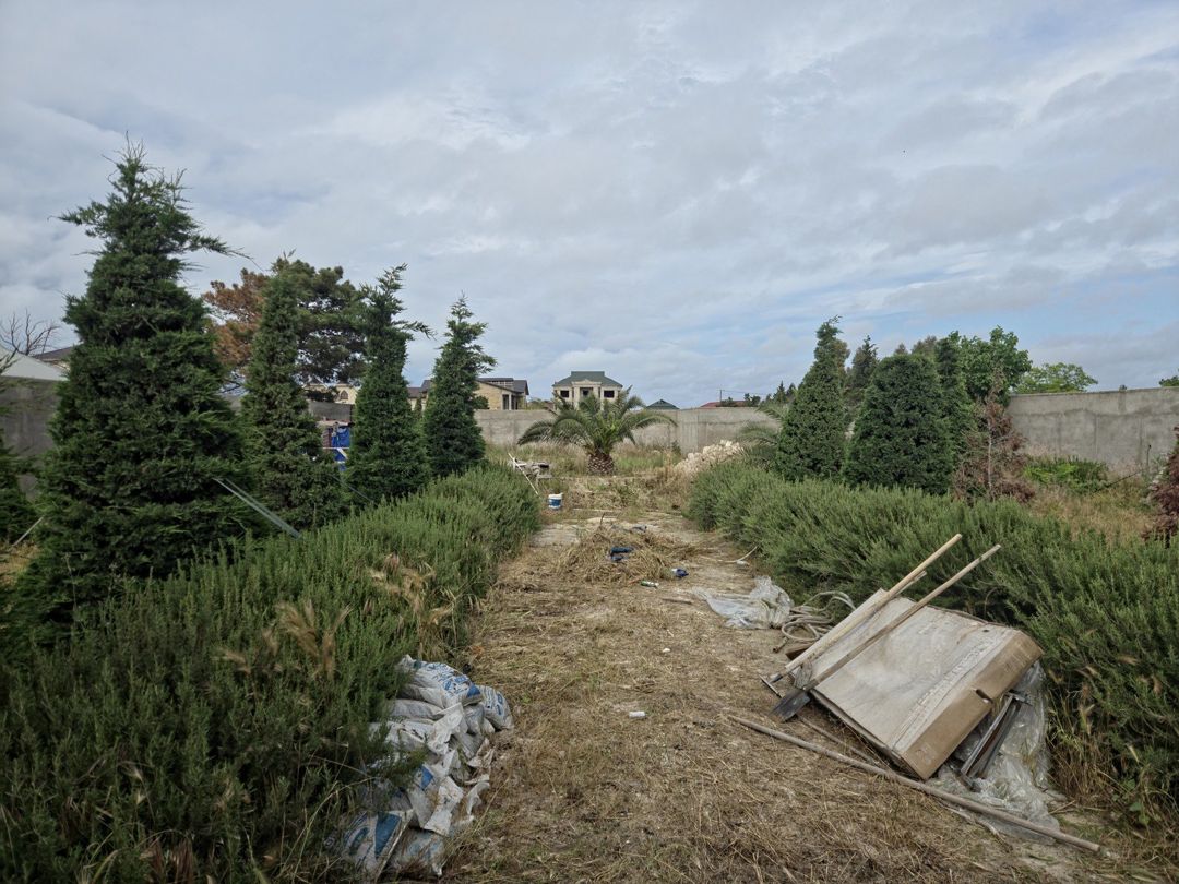 Satılır torpaq 12 sot — Torpaq, Bakı (5)