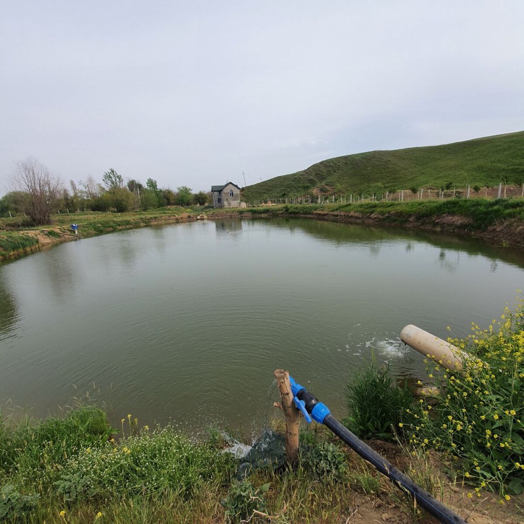 320 sot torpaq sahəsi, Şamaxı ş — Torpaq, Şamaxı (3)