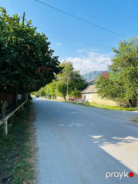 18 sot, Tikinti, Mülkiyyətçi, Kupça (Çıxarış)