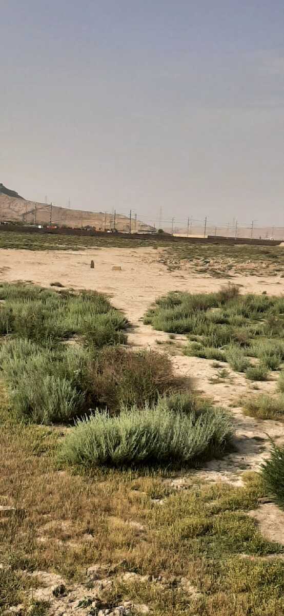 Satılır torpaq 70 sot — Torpaq, Bakı (7)