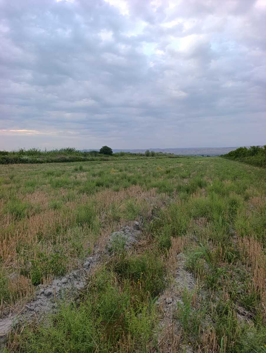 Satılır torpaq 22663 sot — Torpaq, Ağsu (3)