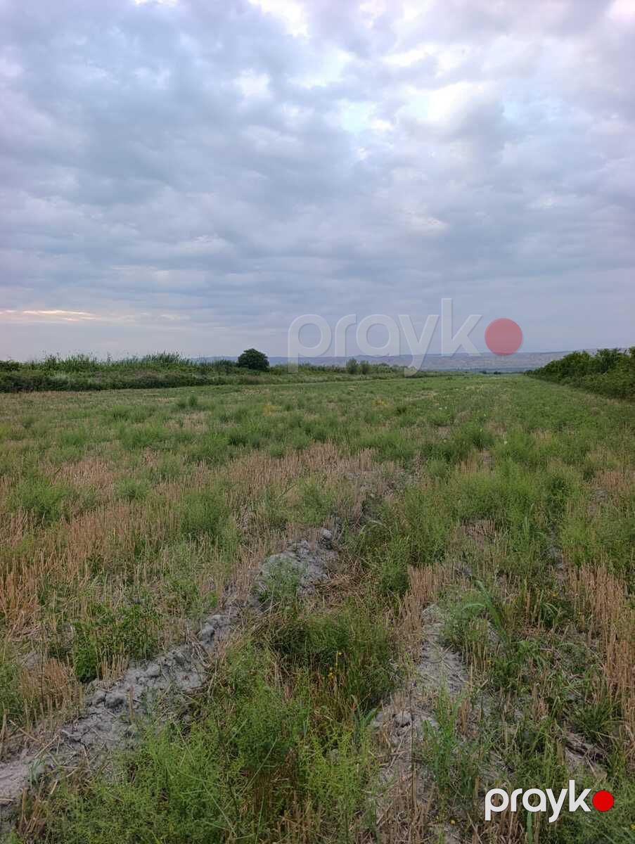 Satılır torpaq 22663 sot — Torpaq, Ağsu (3)