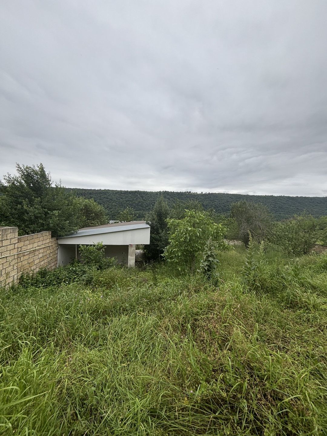 10 sot torpaq sahəsi, Qusar r — Torpaq, Qusar (3)