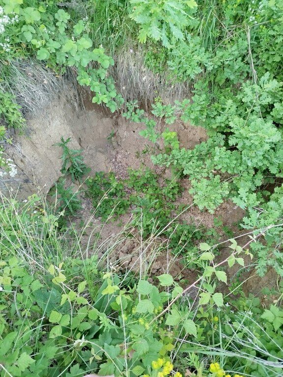 39 sot torpaq sahəsi, Quba r — Torpaq, Quba (5)