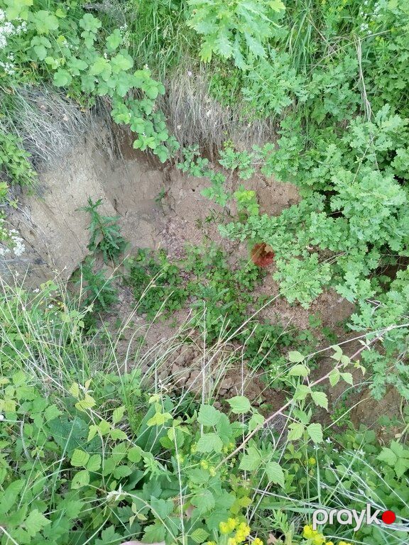 39 sot torpaq sahəsi, Quba r — Torpaq, Quba (5)