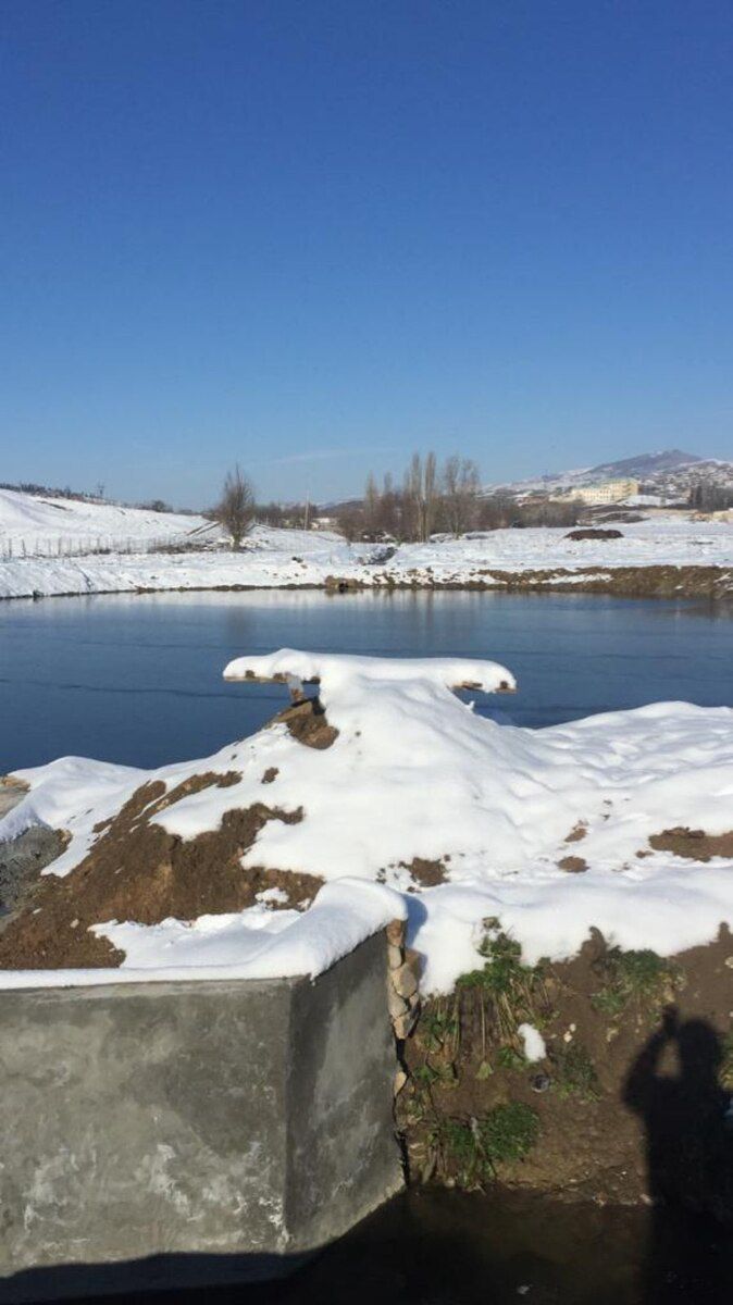 320 sot torpaq sahəsi, Şamaxı ş — Torpaq, Şamaxı (7)