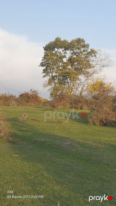 25 sot, Kənd təsərrüfatı, Mülkiyyətçi, Kupça (Çıxarış)