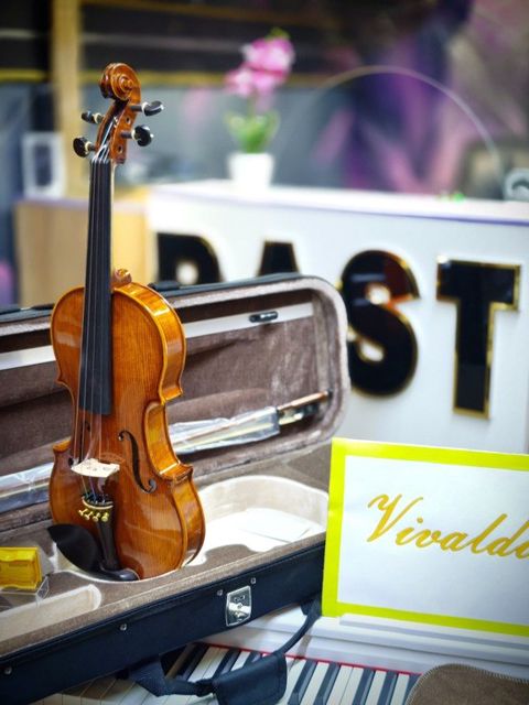 Skripka "Vivaldi" HV-5001 — Bakı