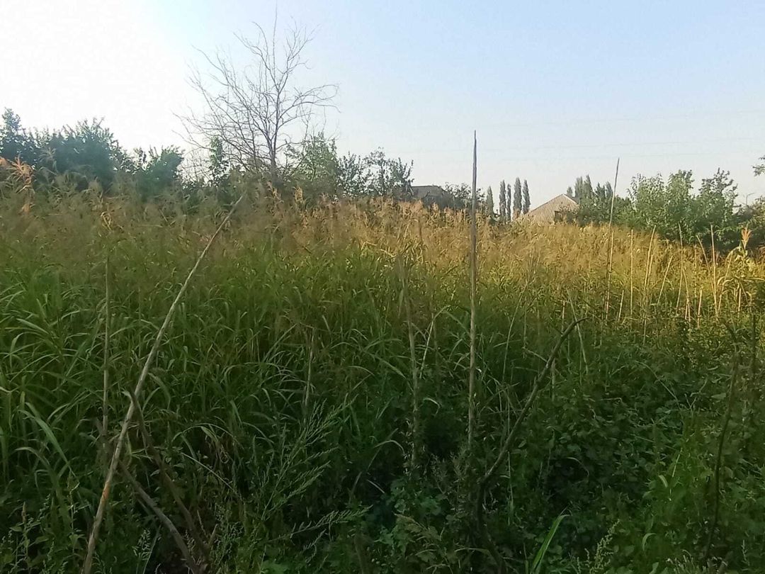12 sot torpaq sahəsi, Tovuz r — Torpaq, Tovuz (4)