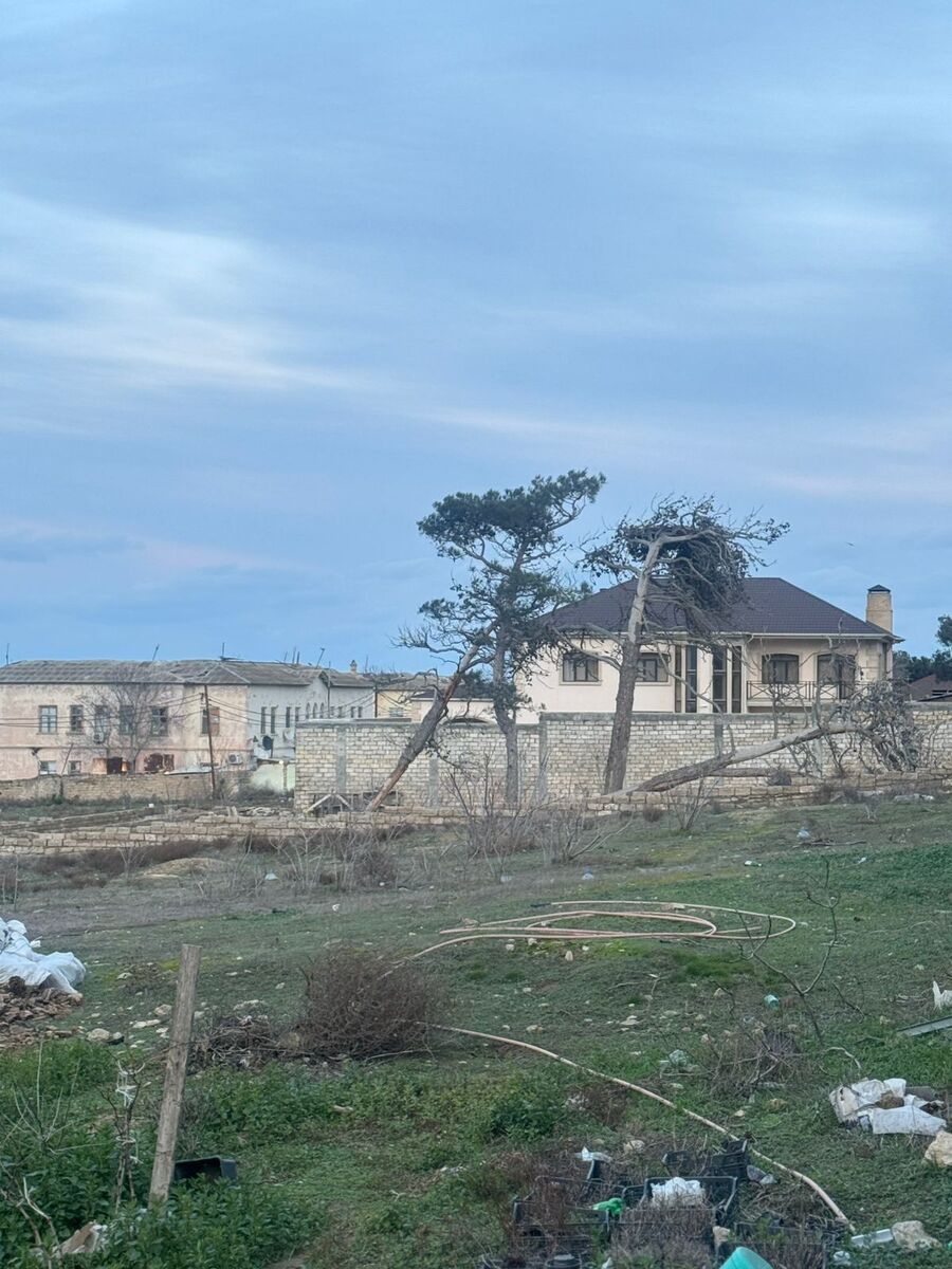Satılır torpaq 124 sot — Torpaq, Bakı (5)