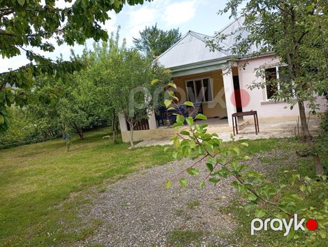 Bağ evi kirayə verilir, Quba r — Quba