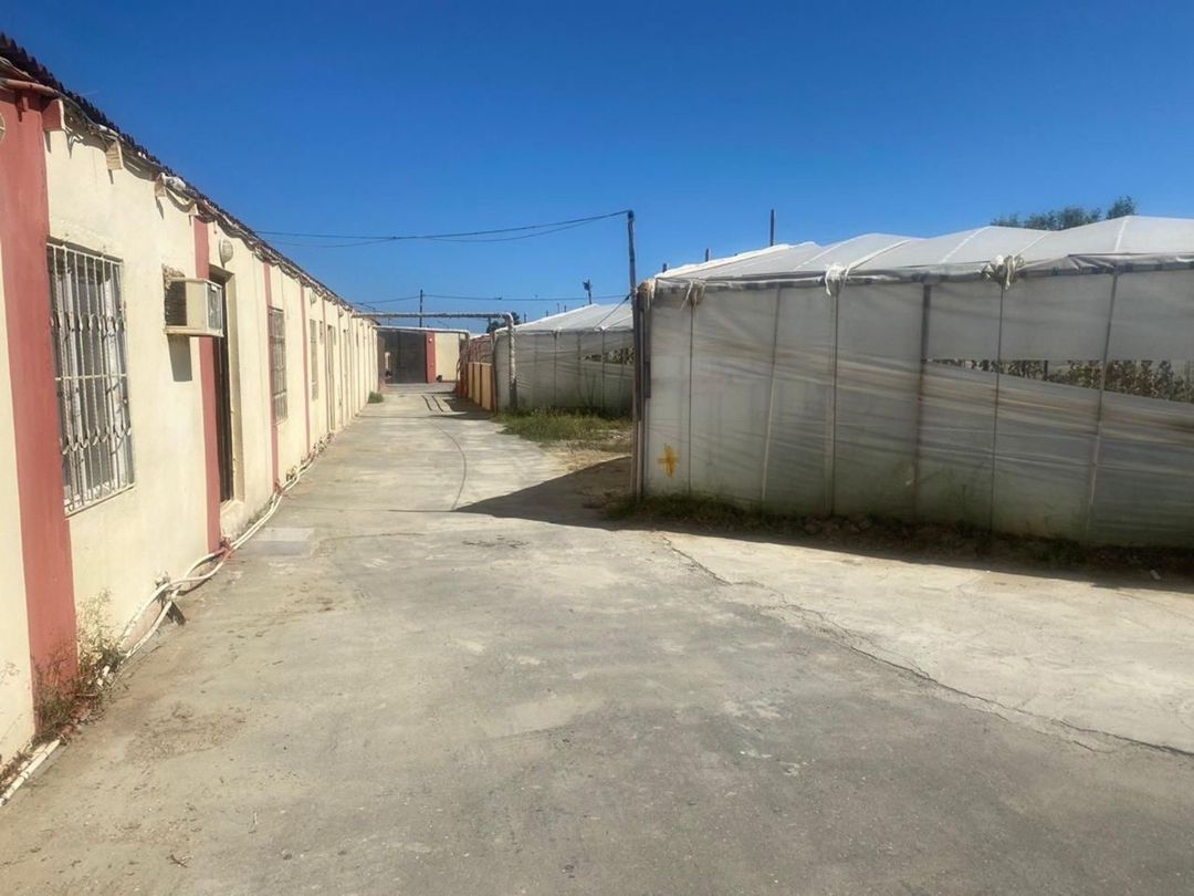 Satılır 5 otaqlı həyət evi/bağ evi 60 m² — Ev, villa, Bakı (10)