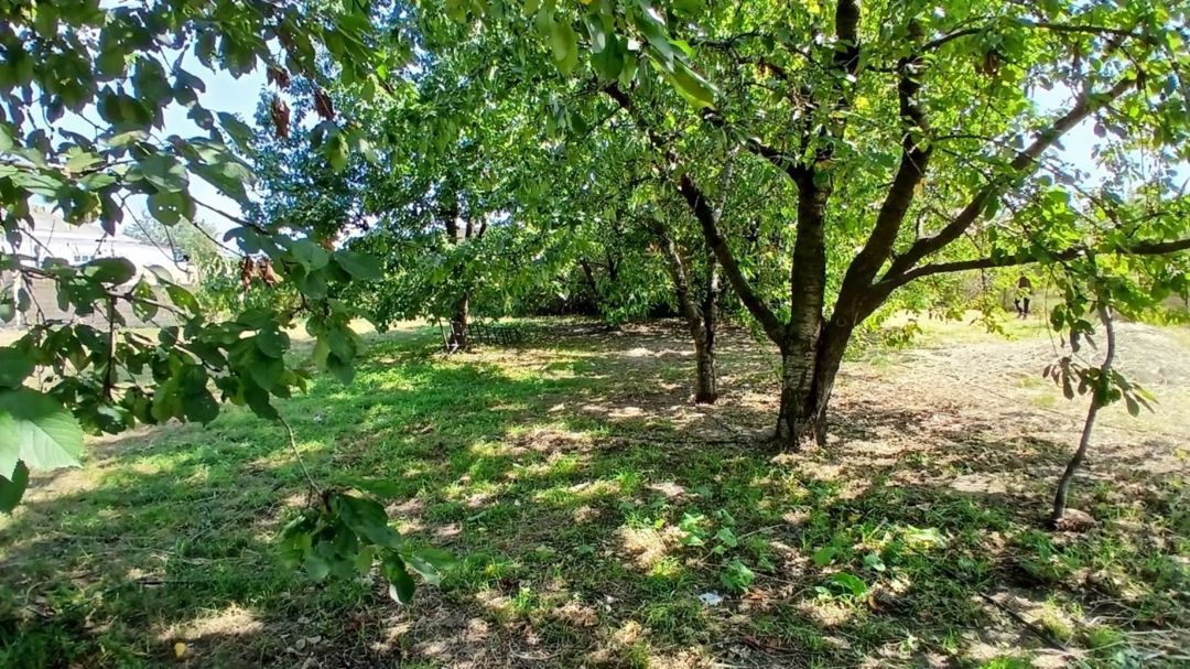 10 sot torpaq sahəsi, Quba r — Torpaq, Quba (4)
