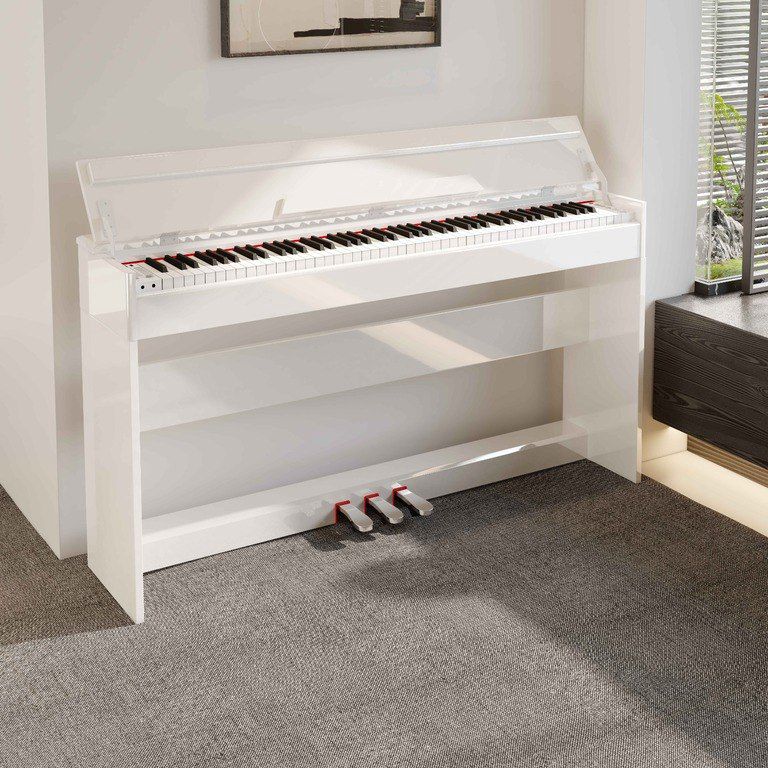 Elektro piano "Allegro, AG - 8818 Polish" — Musiqiə alətləri, Bakı (2)