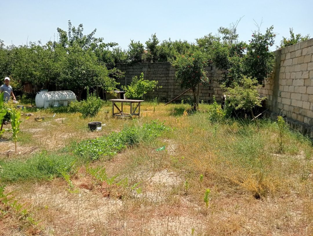 5.5 sot torpaq sahəsi, Novxanı qəs — Torpaq, Bakı (2)