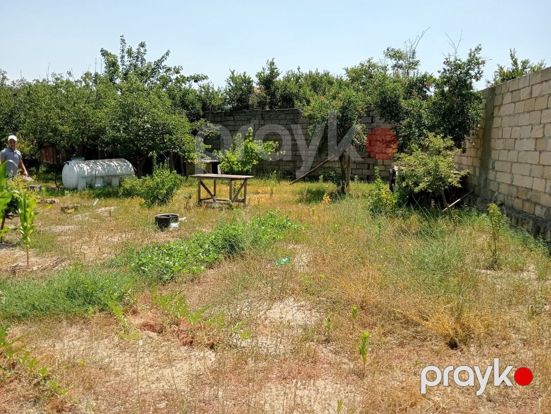 5.5 sot torpaq sahəsi, Novxanı qəs — Torpaq, Bakı (2)