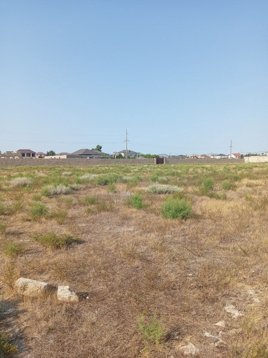 12 sot torpaq sahəsi, Türkan qəs — Torpaq, Bakı (8)