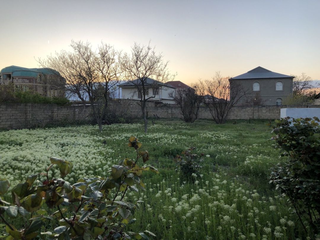 Satılır torpaq 5 sot — Torpaq, Bakı (12)