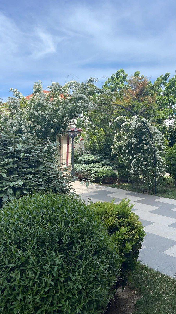 Satılır 5 otaqlı həyət evi/bağ evi 520 m² — Ev, villa, Bakı (3)