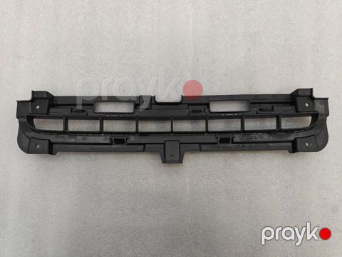 BYD Destroyer 05 üçün radiator barmaqlığı