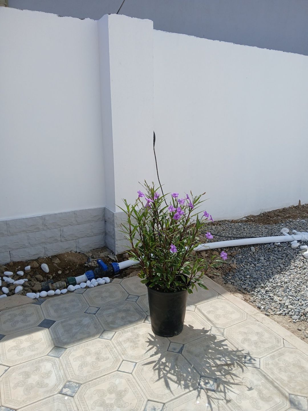 Satılır 4 otaqlı həyət evi/bağ evi 127 m² — Ev, villa, Bakı (8)