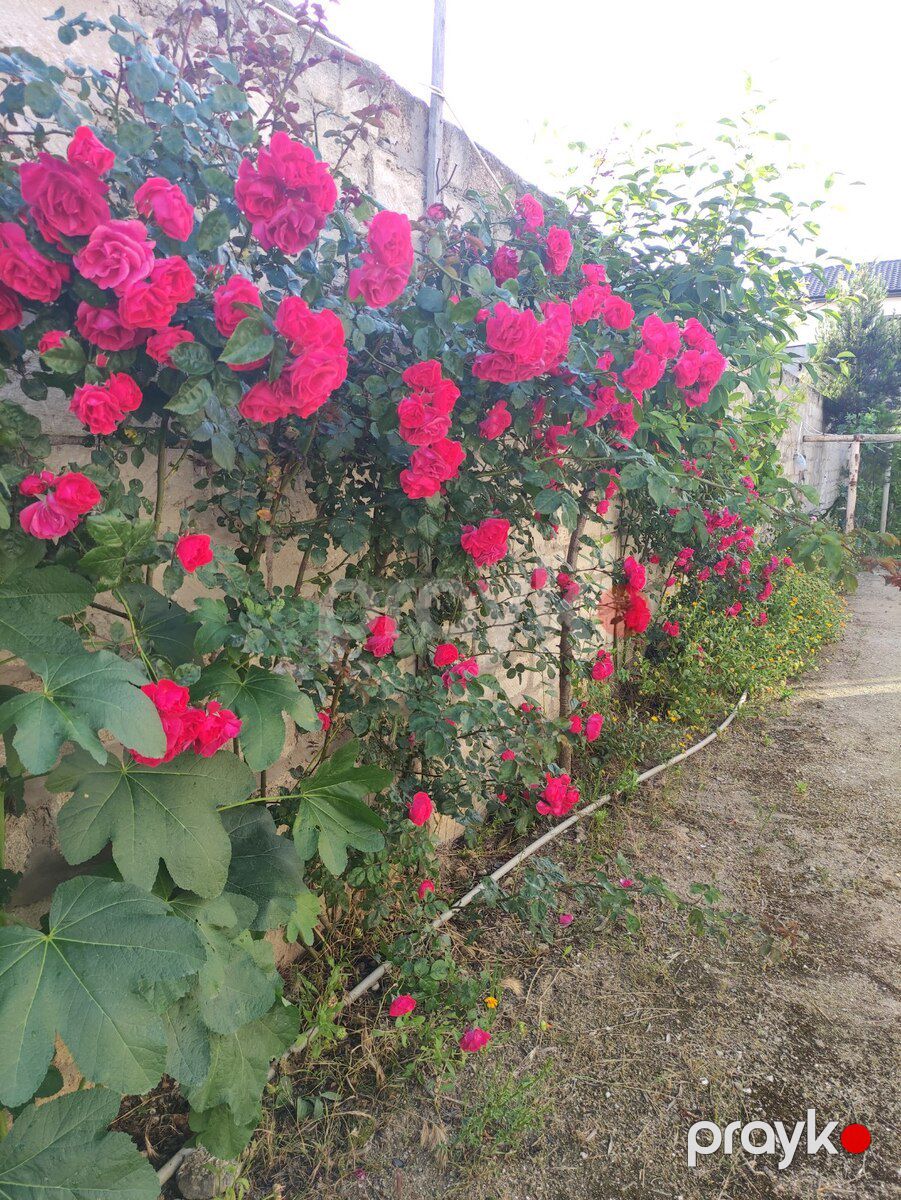 9 sot torpaq sahəsi, Mərdəkan qəs — Torpaq, Bakı (3)