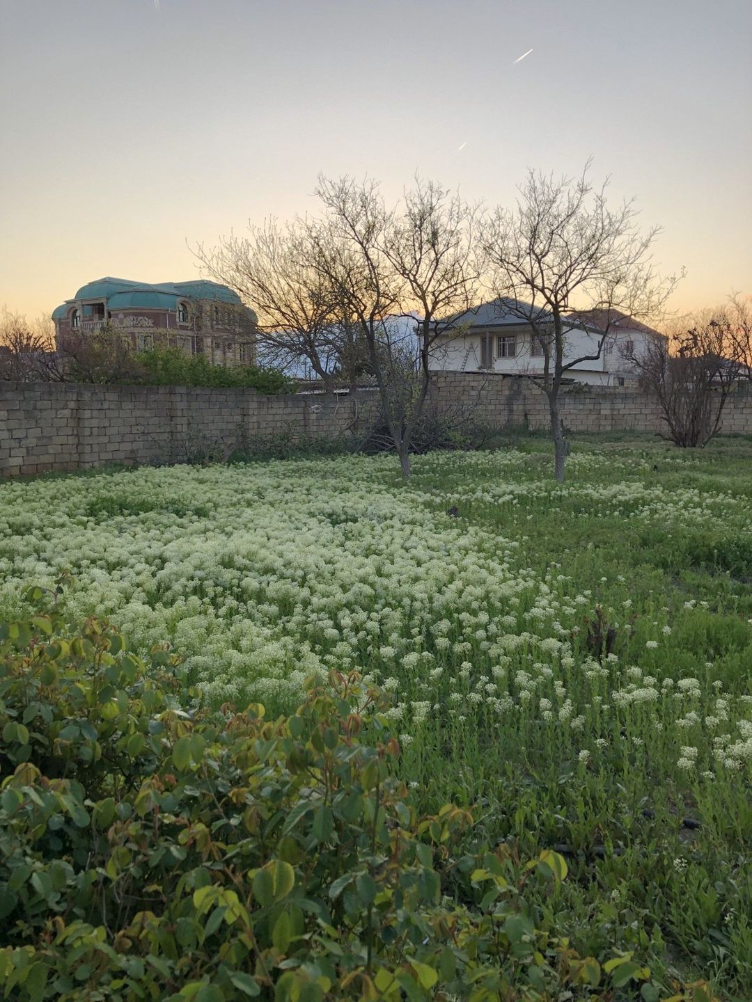 Satılır torpaq 5 sot — Torpaq, Bakı (9)