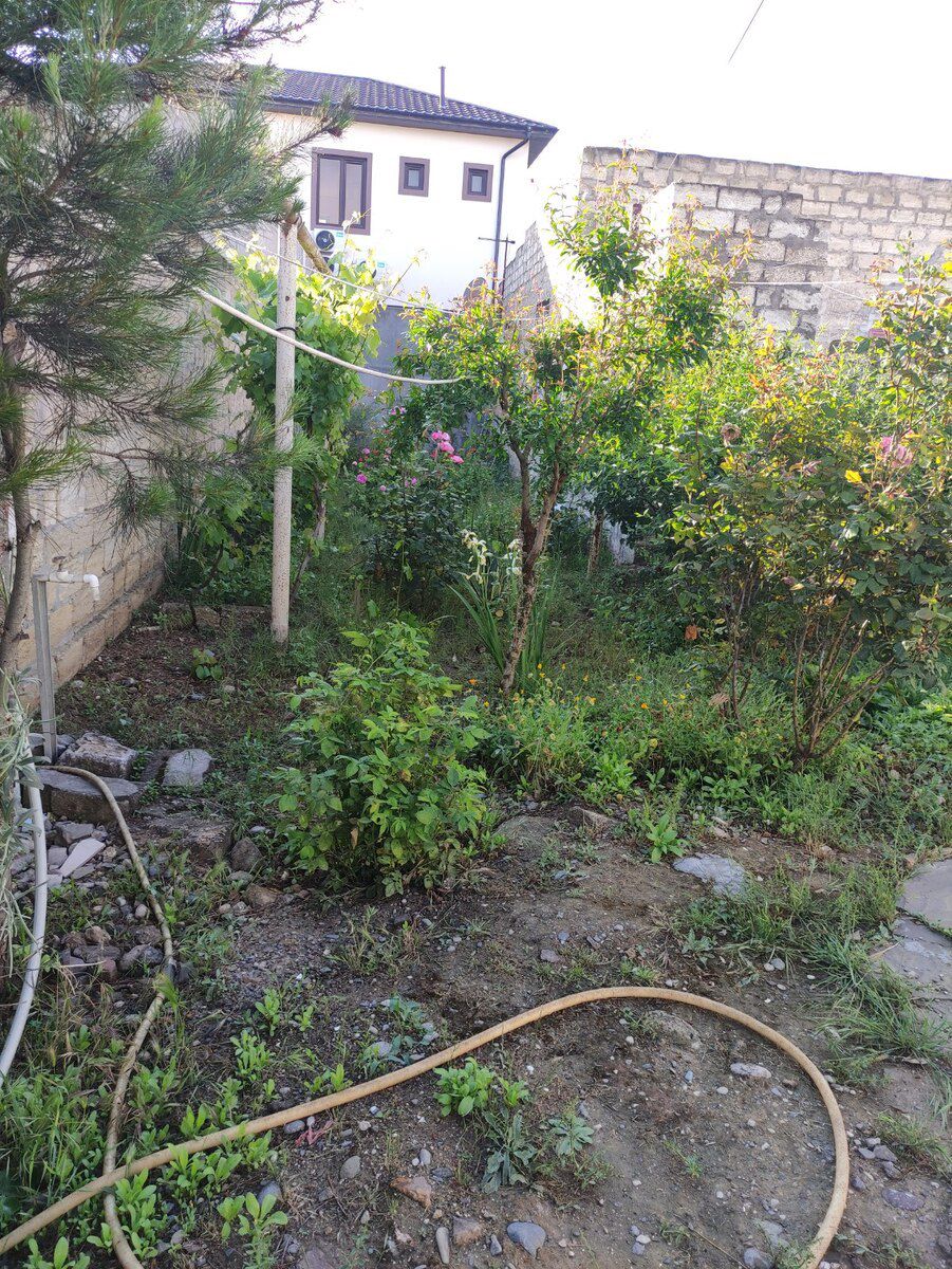 9 sot torpaq sahəsi, Mərdəkan qəs — Torpaq, Bakı (2)