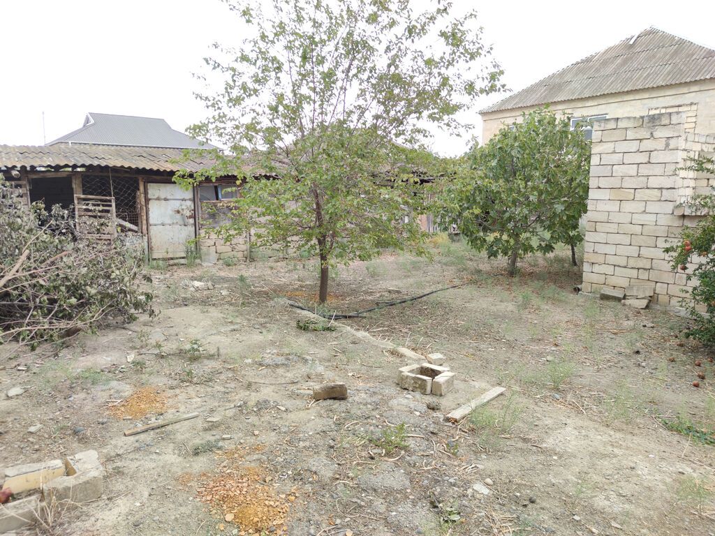 6 sot, Tikinti, Mülkiyyətçi, Kupça (Çıxarış) — Torpaq, Şirvan (10)