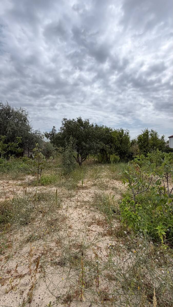 Satılır torpaq 13 sot — Torpaq, Bakı (12)