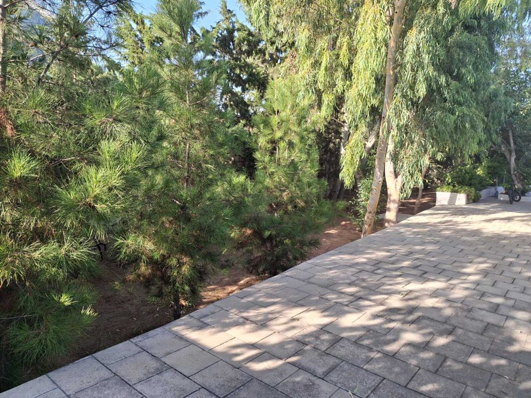 Satılır 2 otaqlı həyət evi/bağ evi 100 m² — Ev, villa, Bakı (10)