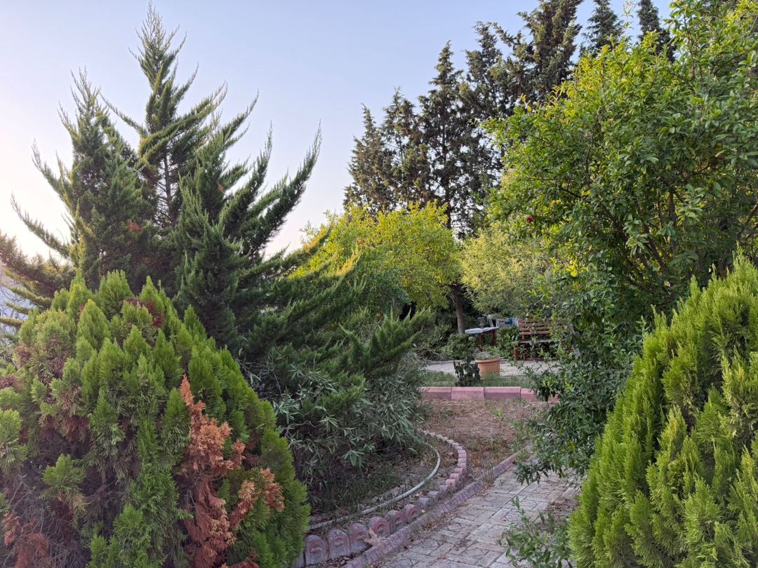 Satılır 3 otaqlı həyət evi/bağ evi 54 m² — Ev, villa, Bakı (2)