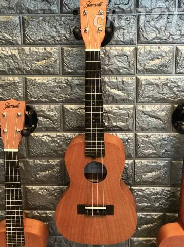 Ukulele — Musiqiə alətləri, Bakı (3)