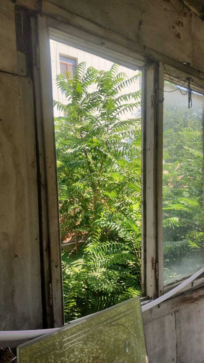 Satılır torpaq 6 sot — Torpaq, Bakı (6)