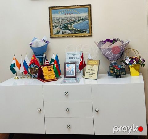 5-otaqlı mənzil kirayə verilir, 28 May m., 240 m²