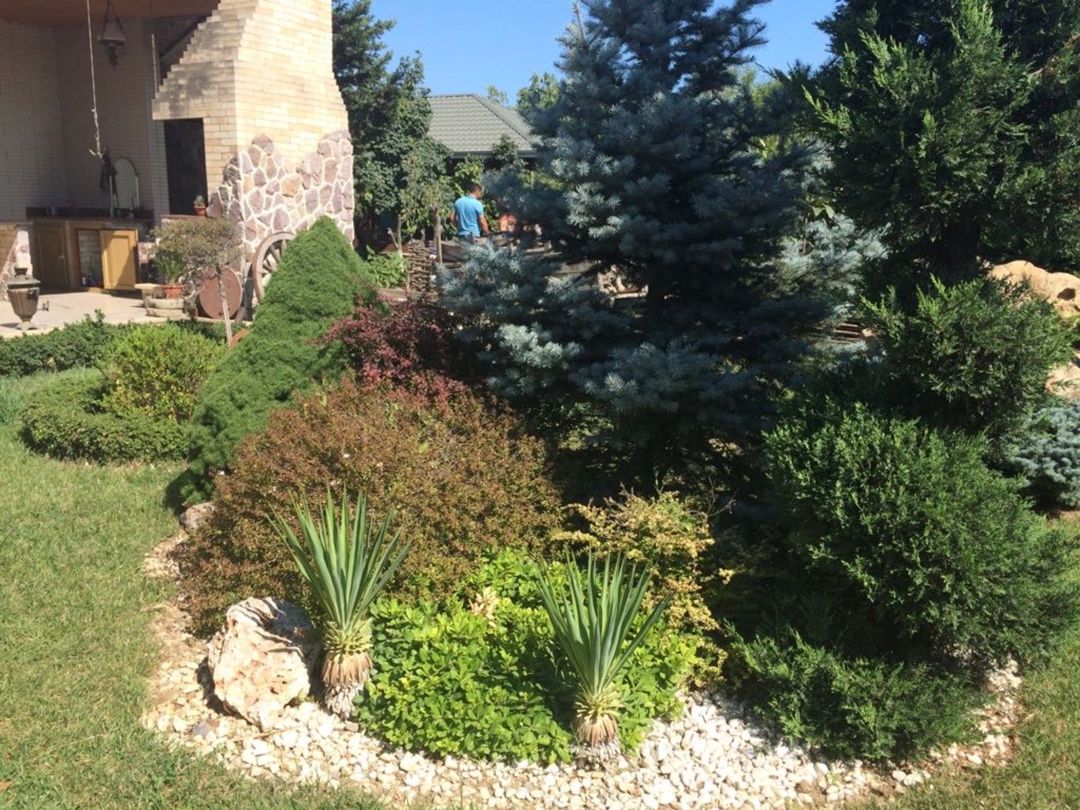 Satılır 6 otaqlı həyət evi/bağ evi 250 m² — Ev, villa, Bakı (10)