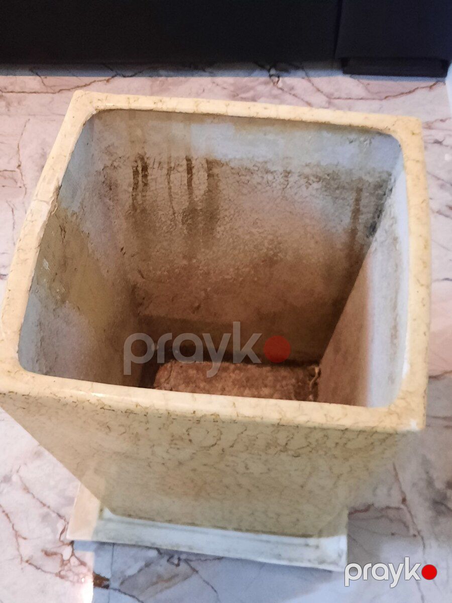 Keramik dibçək — Bitkilər, Ağcabədi (5)