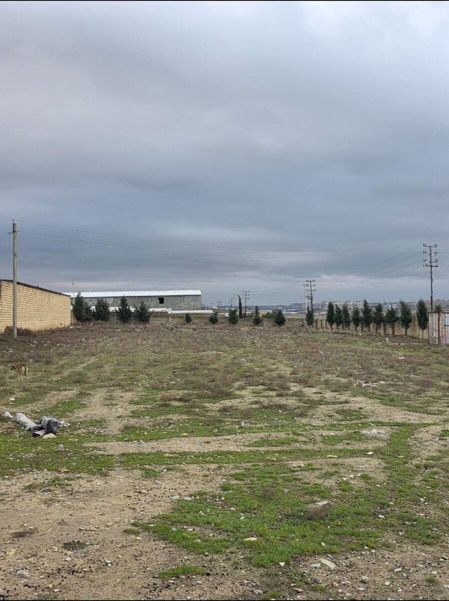 Satılır torpaq 10 sot — Torpaq, Bakı (2)