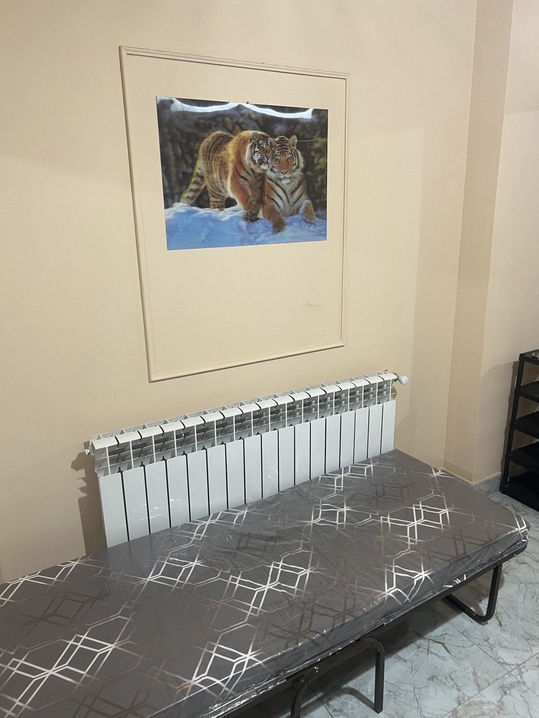 İcarəyə verilir 1 otaqlı həyət evi/bağ evi 36 m² — Ev, villa, Bakı (6)