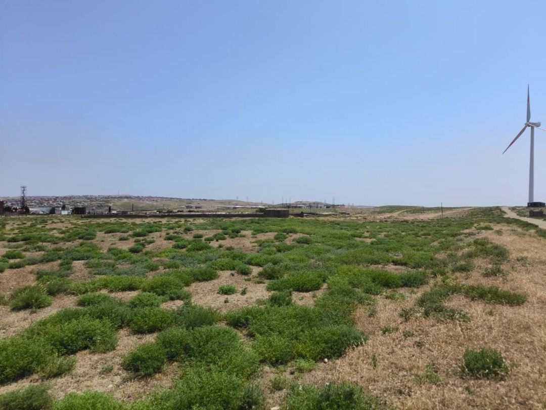Satılır torpaq 780 sot — Torpaq, Bakı (5)