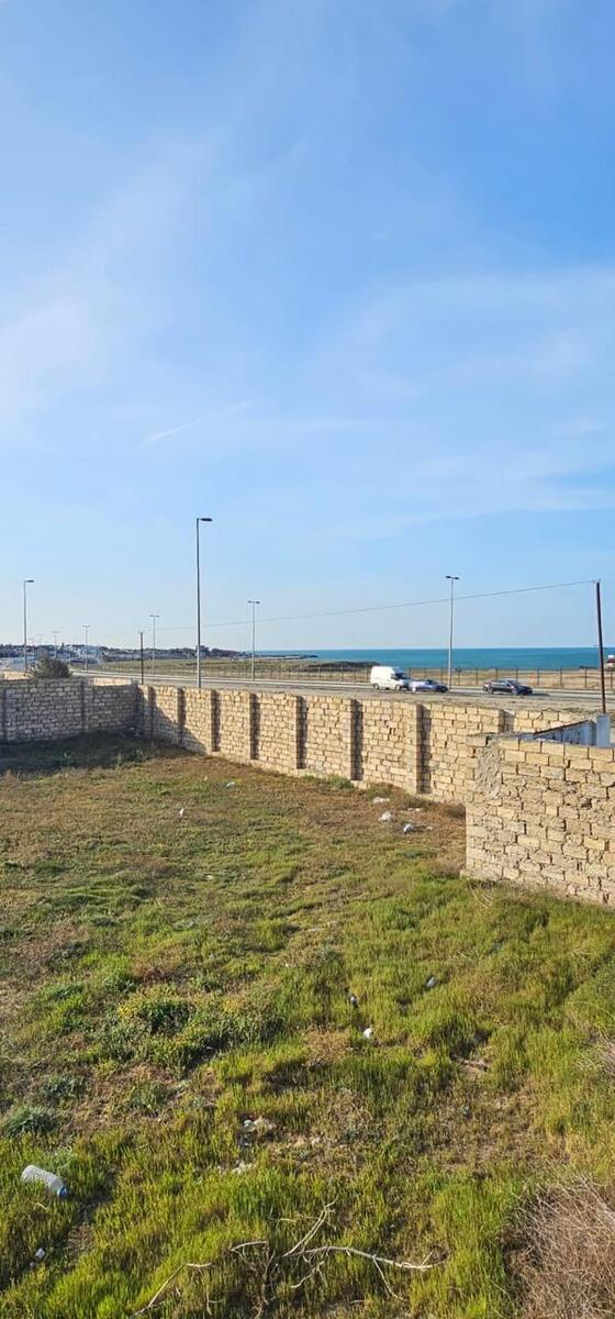 Satılır torpaq 31 sot — Torpaq, Bakı (5)