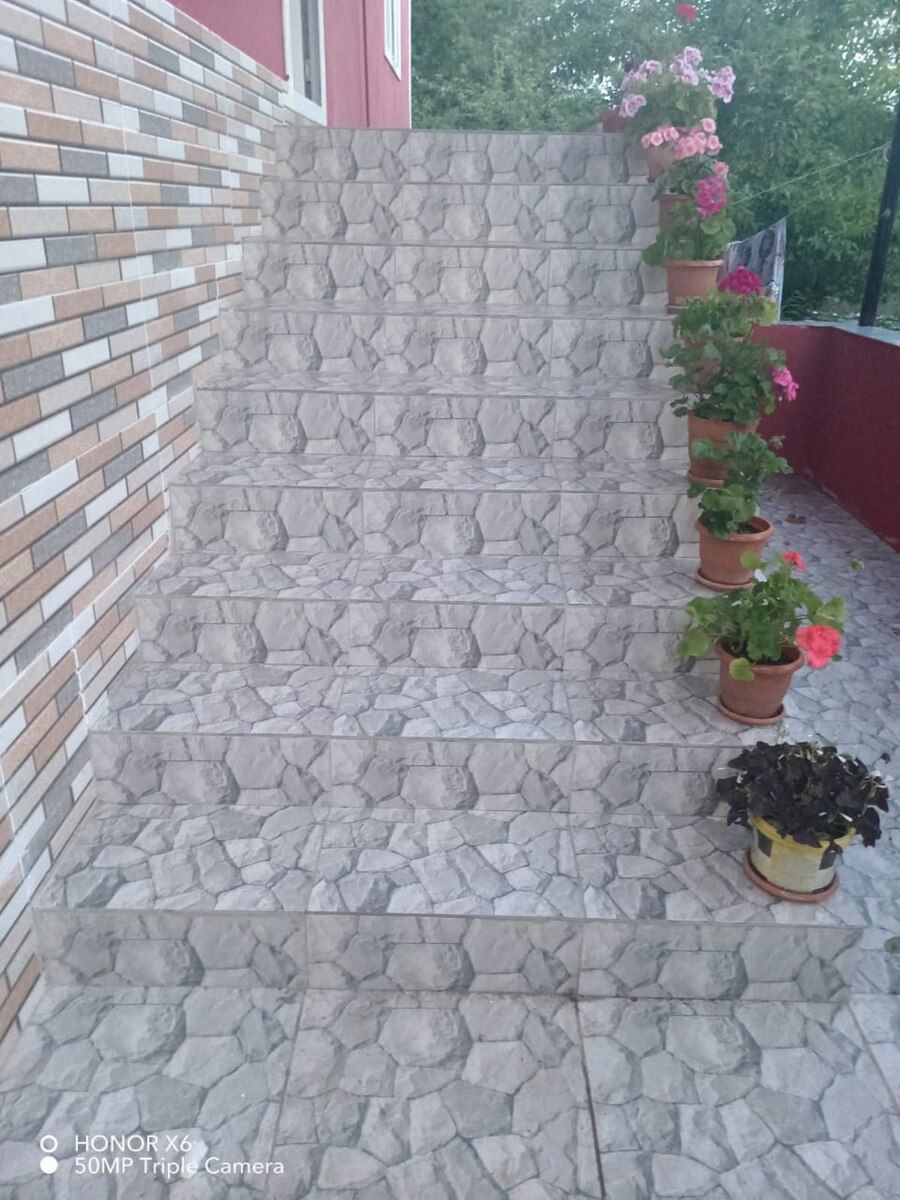 Bağ evi kirayə verilir, Qəbələ r — Ev, villa, Qəbələ (11)