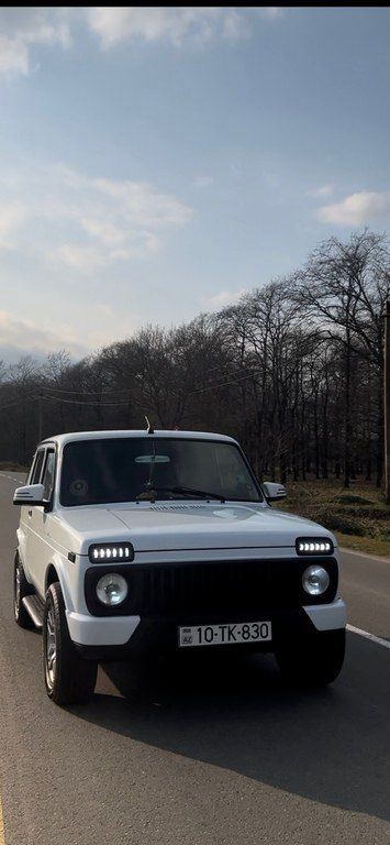 Lada (VAZ) Niva, 1.7 L, 2015 il, 156 000 km — Avtomobillər, Masallı (3)