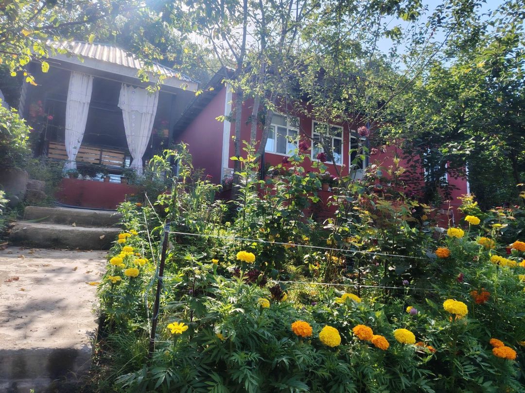 Bağ evi kirayə verilir, Qəbələ r — Ev, villa, Qəbələ (3)