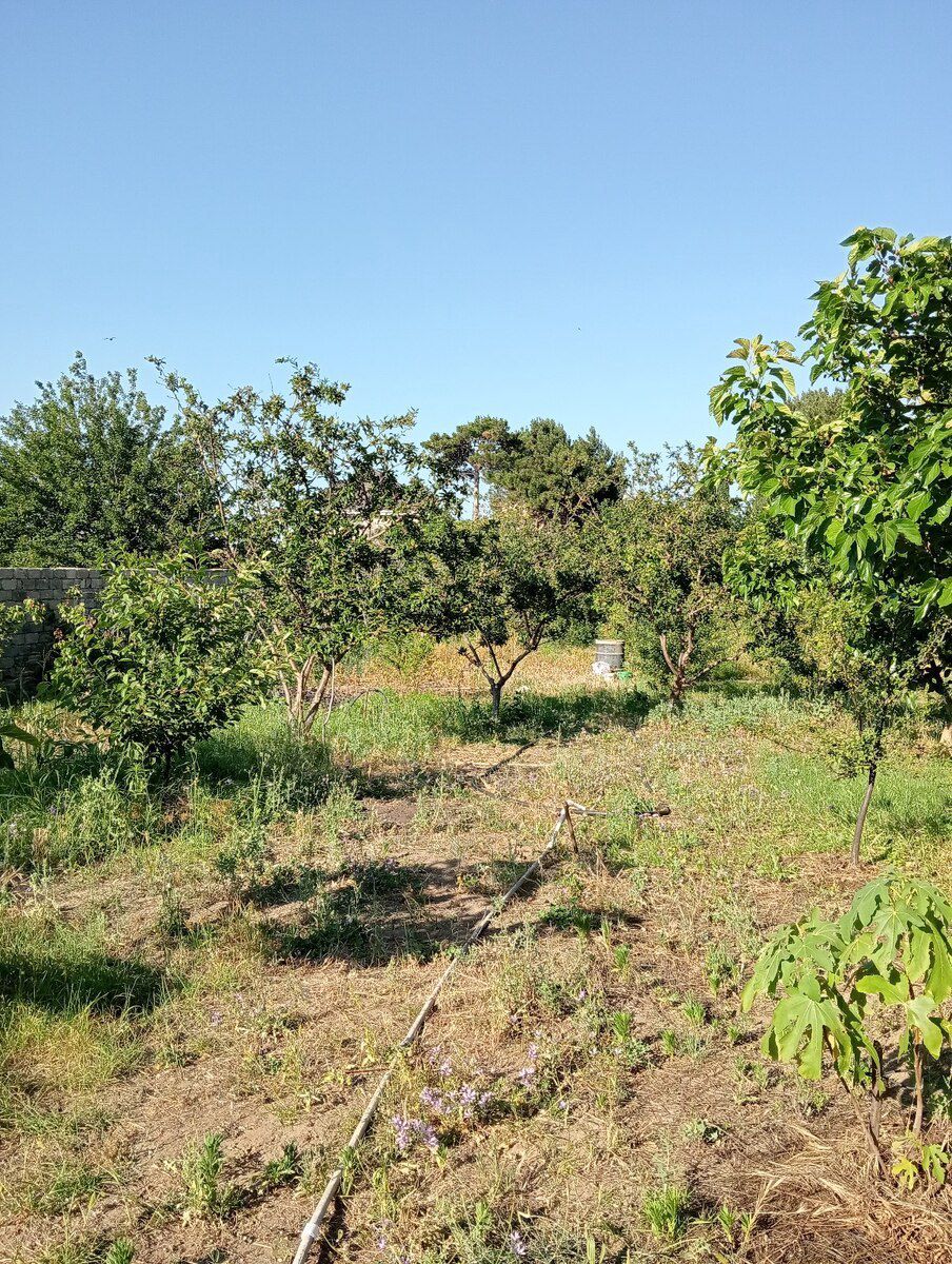 34 sot torpaq sahəsi, Novxanı qəs — Torpaq, Bakı (10)