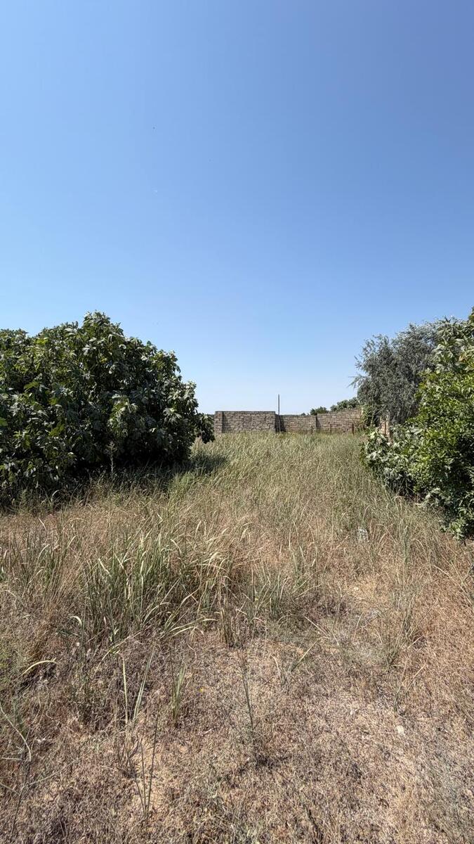 Satılır torpaq 20 sot — Torpaq, Bakı (2)