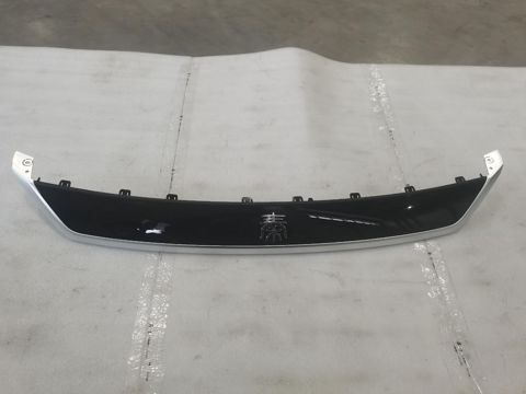 BYD Qin Plus 2025 ön hissə üçün emblem — Bakı